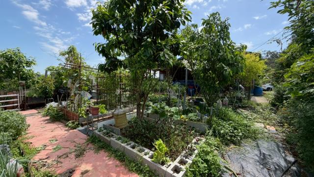 新竹寶山山坡地-14