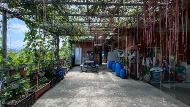 新竹寶山山坡地-9