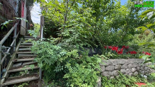 新竹寶山林地-2