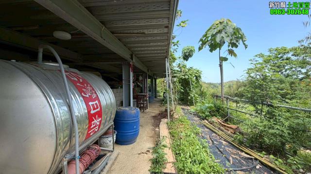 新竹寶山林地-3