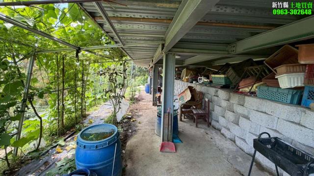 新竹寶山林地-4