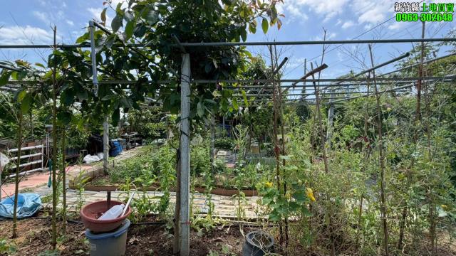 新竹寶山林地-6