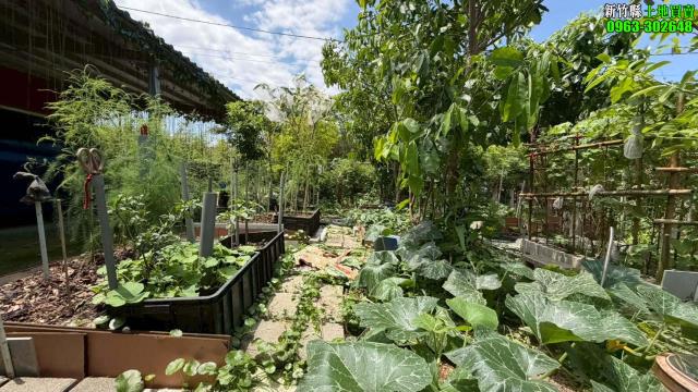 新竹寶山林地-7