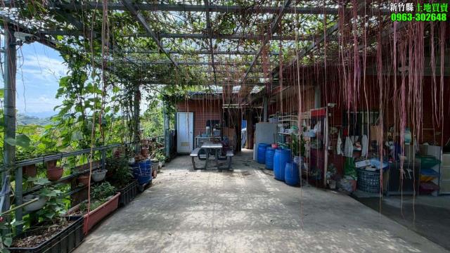 新竹寶山林地-8