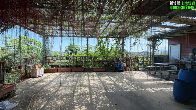 新竹寶山林地-9