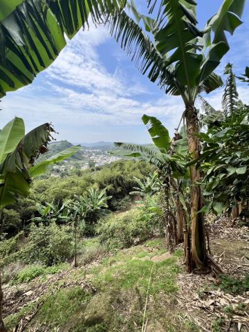 台中東勢農地-4