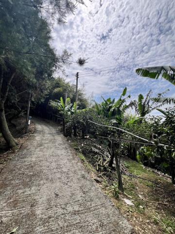 台中東勢農地-5