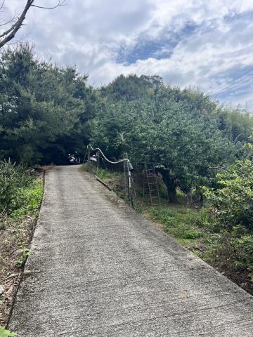 台中東勢農地-1