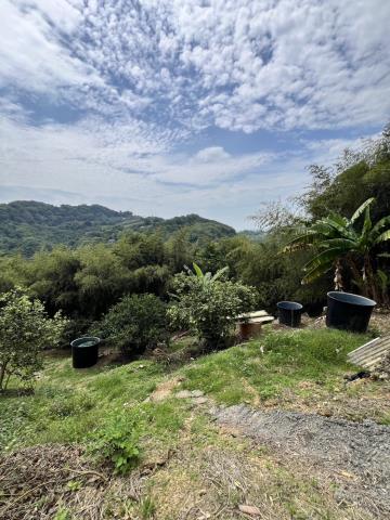 台中東勢農地-2