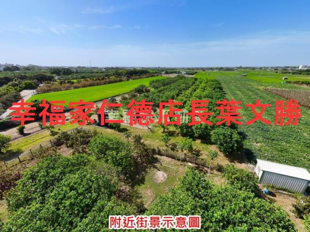 麻豆農地-13
