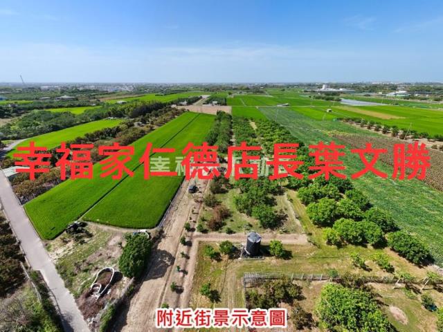麻豆農地-15