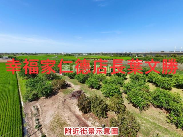 麻豆農地-9
