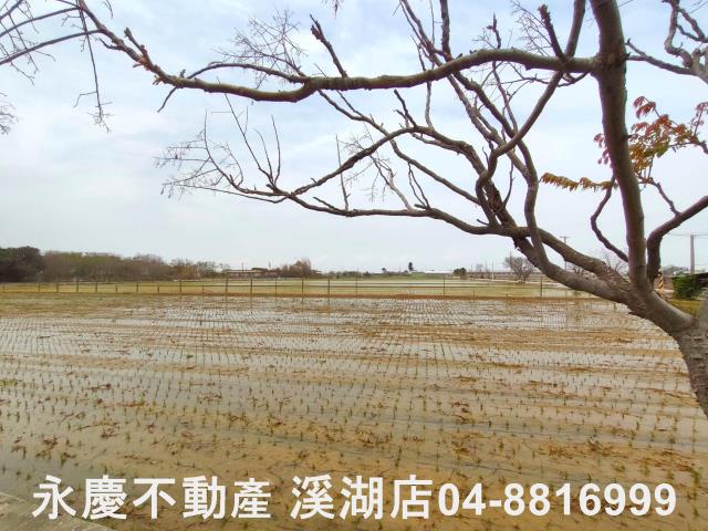 埔鹽農地-10