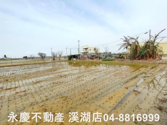 埔鹽農地-6