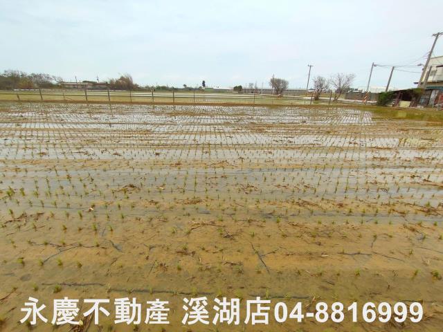 埔鹽農地-7