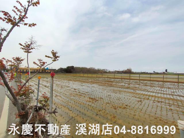 埔鹽農地-8