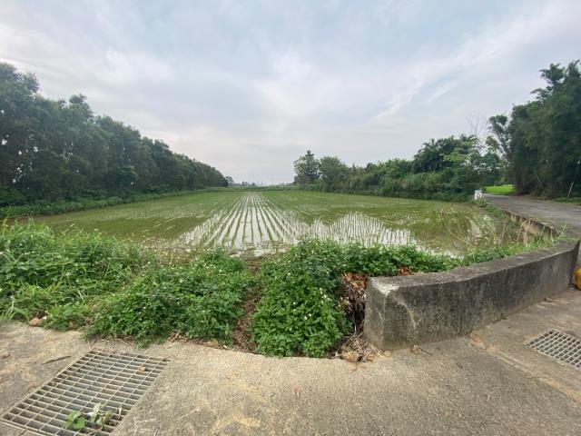 觀音農地-12