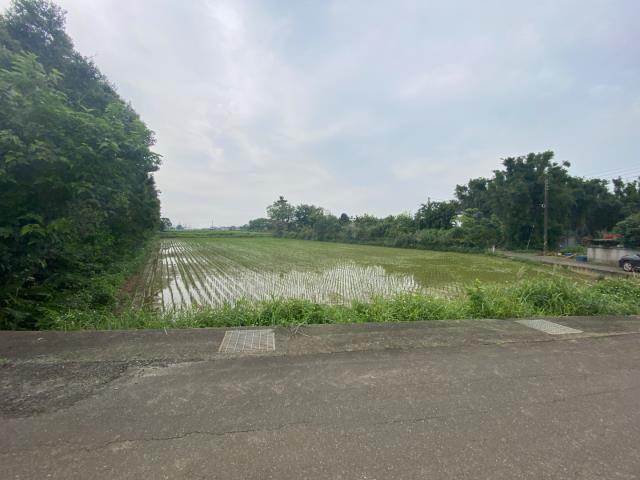 觀音農地-2