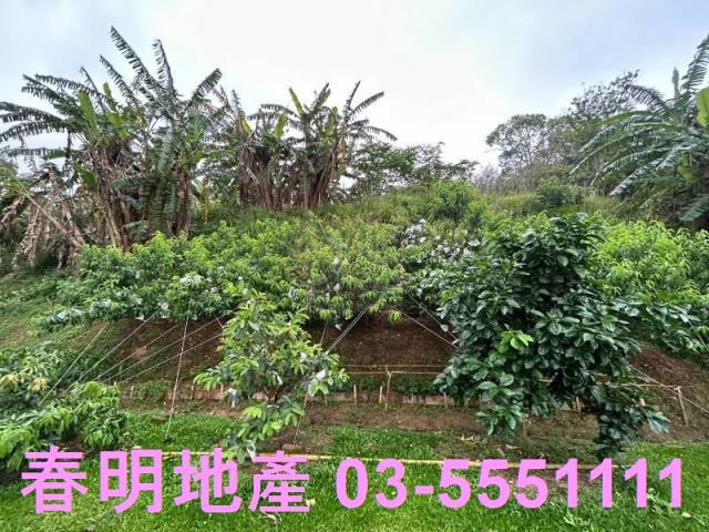 新竹農地-2