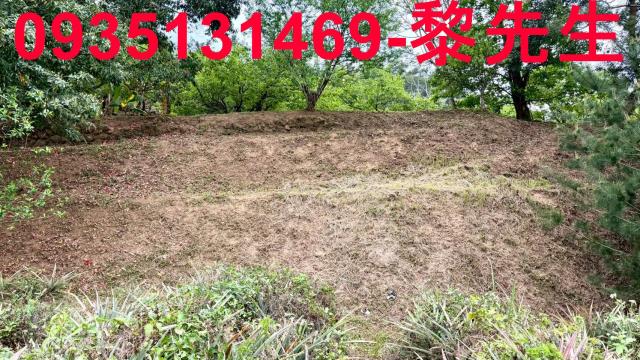 新竹農地-10