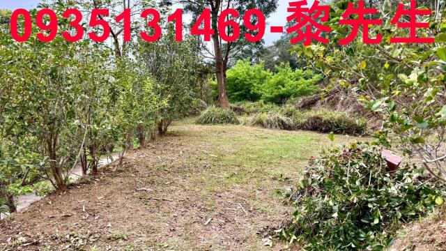 新竹農地-15