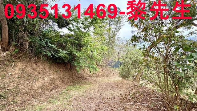 新竹農地-8