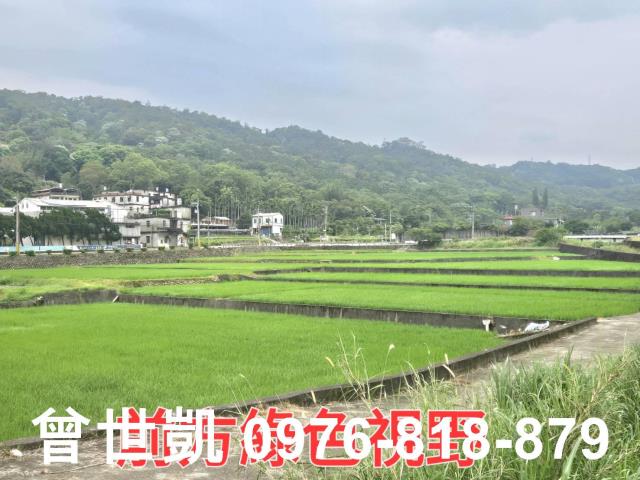 新竹關西建地-7
