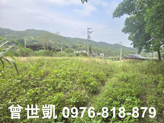 新竹關西農地-9