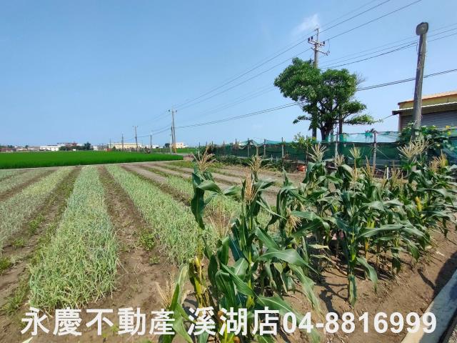 彰化埔鹽農地-1