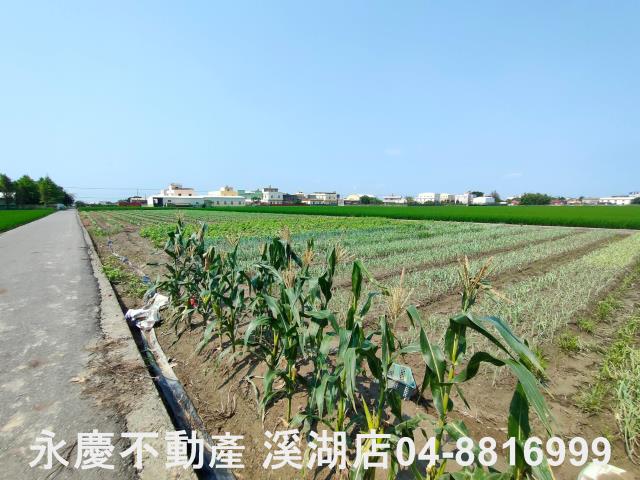 彰化埔鹽農地-2