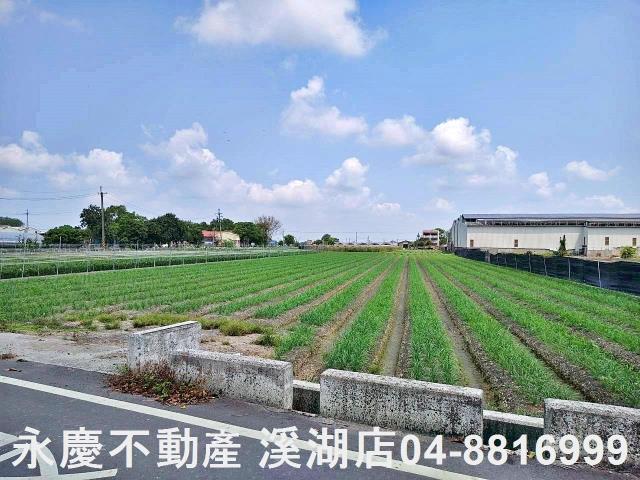 彰化田尾農地-1