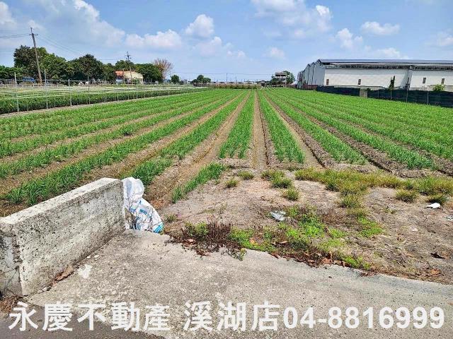 彰化田尾農地-2