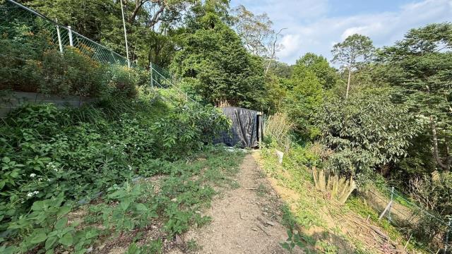 新竹峨眉農地-13