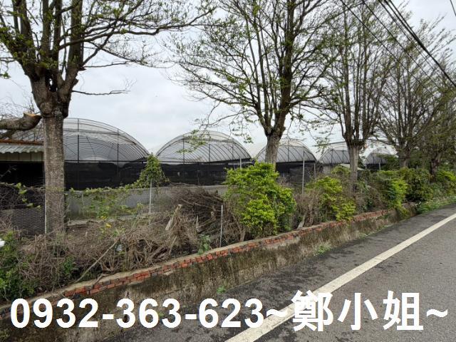 新屋農地-4