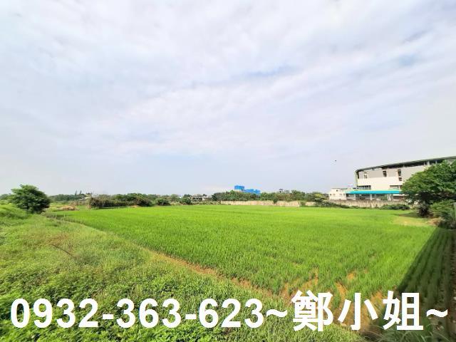 蘆竹農地-3