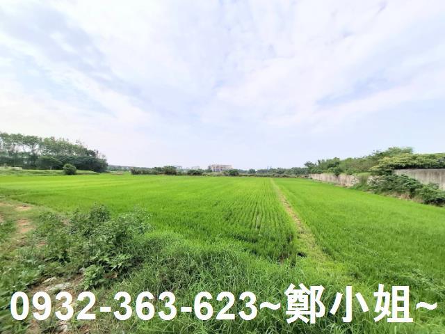 蘆竹農地-7