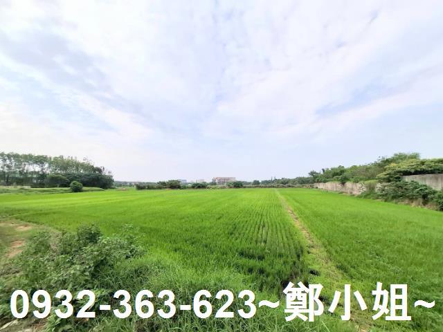 蘆竹農地-8