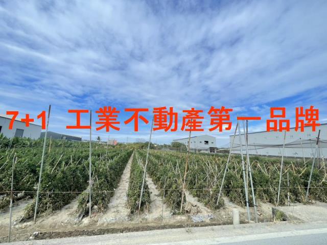 大寮農地-1