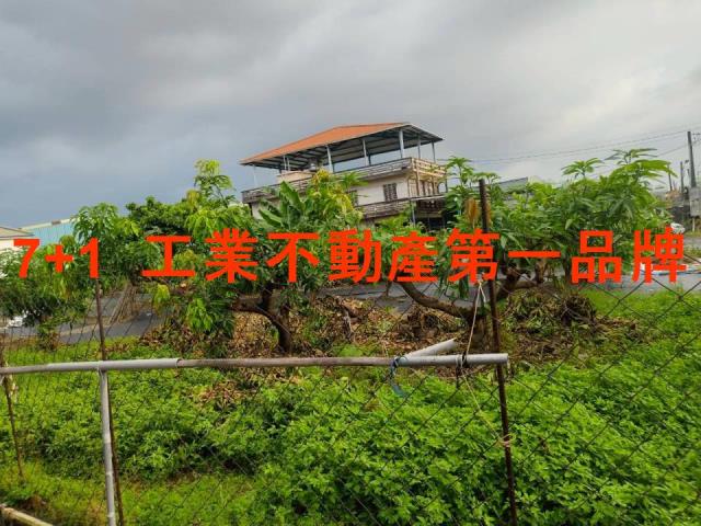 大寮農地-2