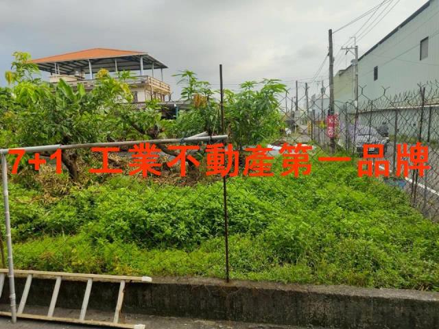 大寮農地-4
