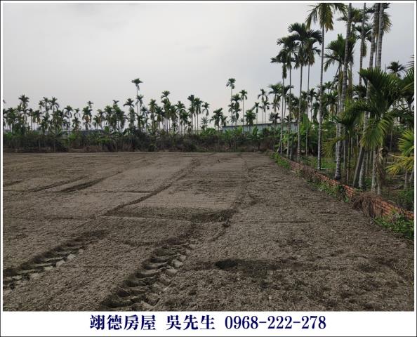 麟洛農地-1