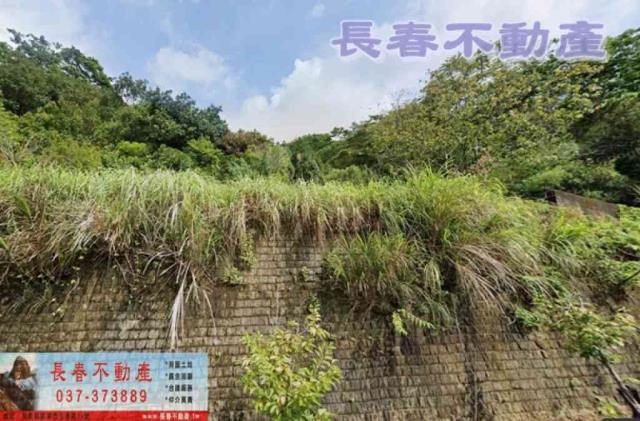 三義農地-1