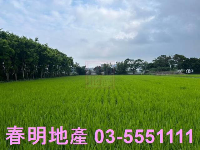 新竹農地-2