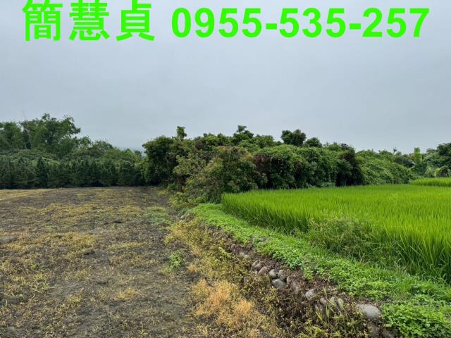 南投草屯農地-4