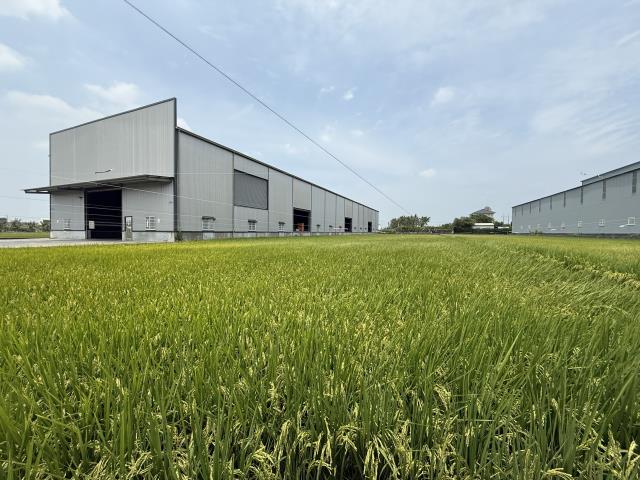 高雄阿蓮農地-8
