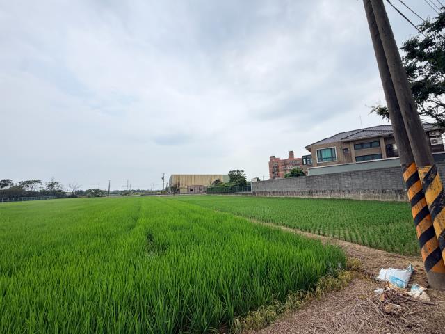 觀音農地-6