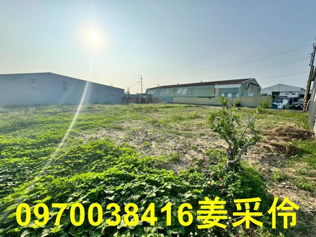 西區農地-11