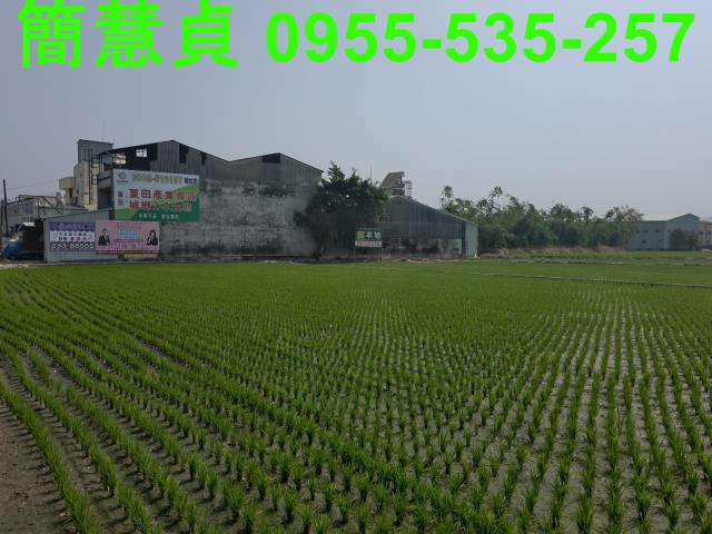 大里農地-3