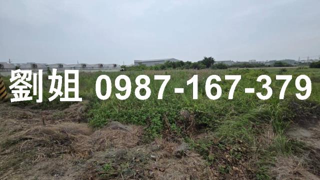 安南農地-2