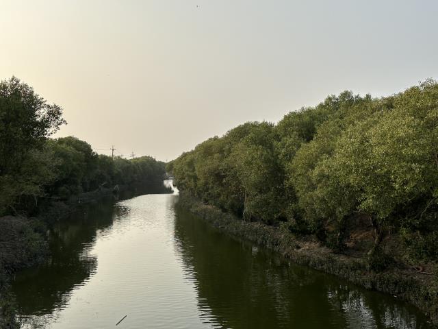 永安農地-8